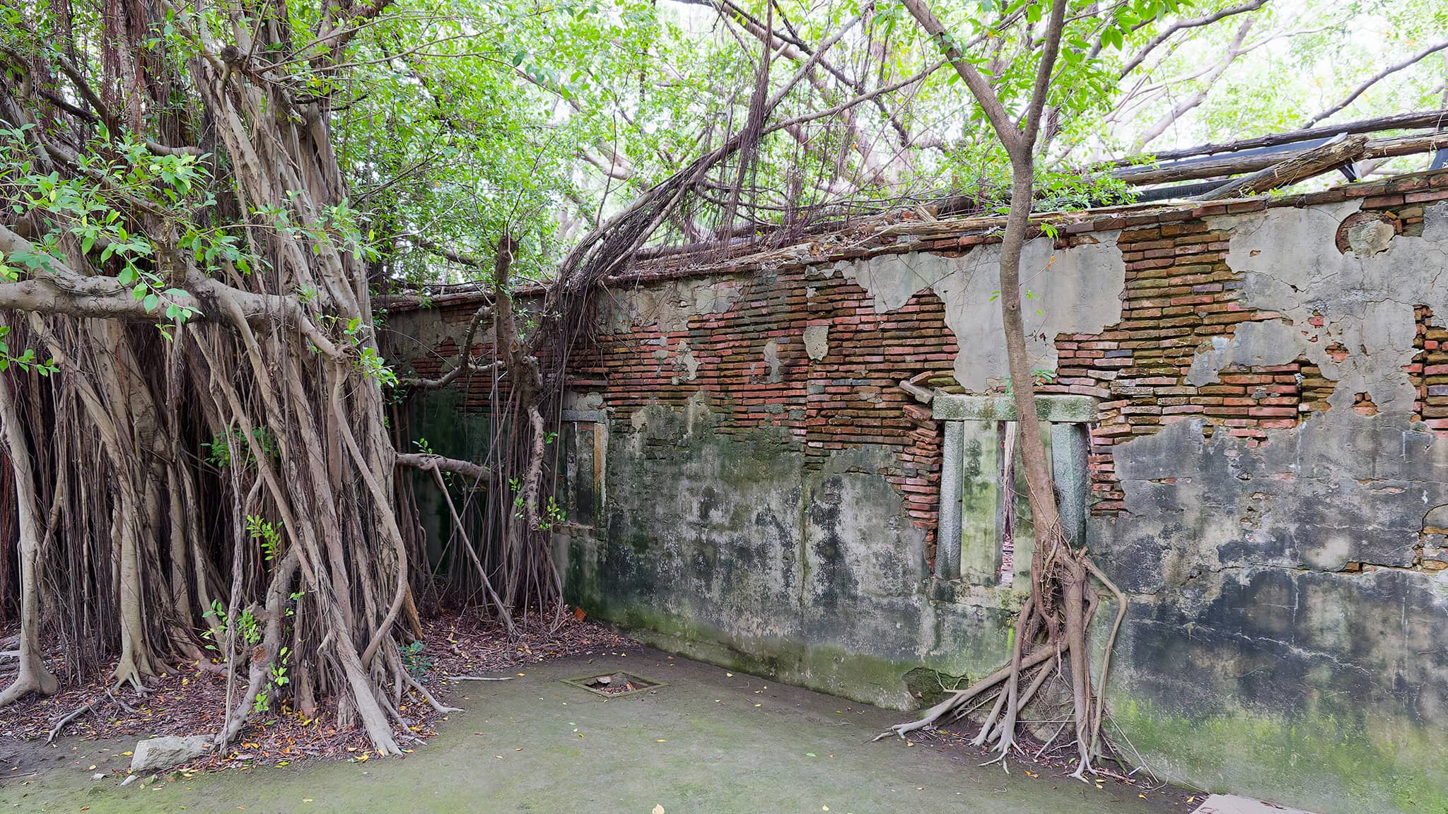 06 - Kaohsiung (50).jpg